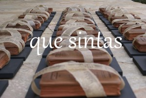 que sintas